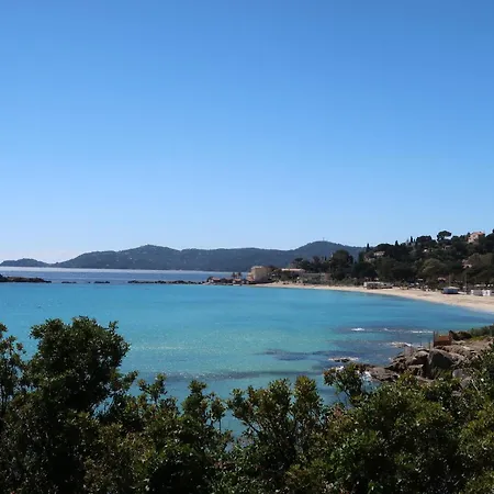 Les Palmiers-3 By Interhome Le Lavandou