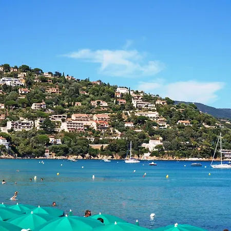 Les Palmiers-3 By Interhome * Le Lavandou